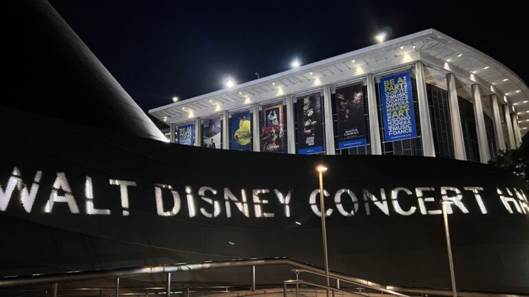 Walt Disney Concert Hal photo at night